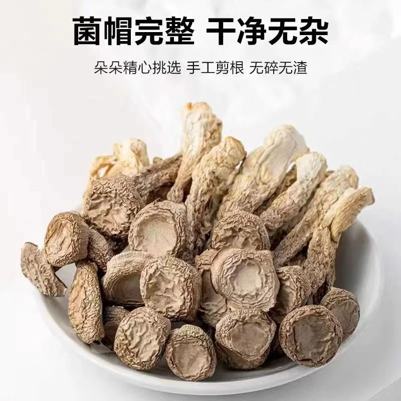【鹿茸菇】鹿茸菇脆脆菇精品干菇煲汤美味营养鲜美食用菌250g/500g