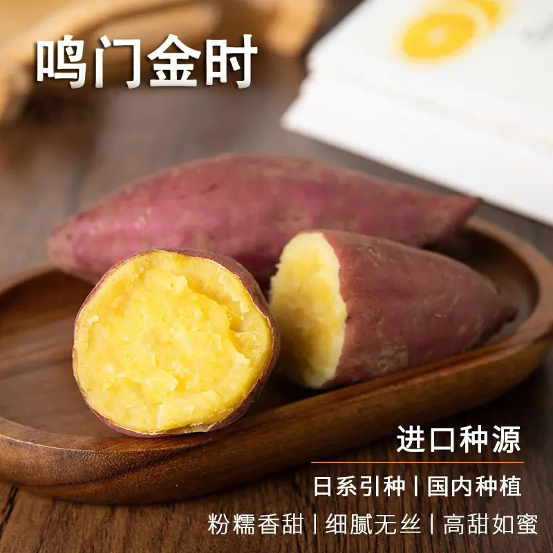 西域美农鸣门金时地瓜红薯4.5斤 板栗番薯去皮软糯香甜细腻烤红薯