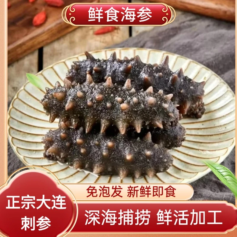 正元尚好鲜食海参辽参大连底播参不注水不挂冰即食优选