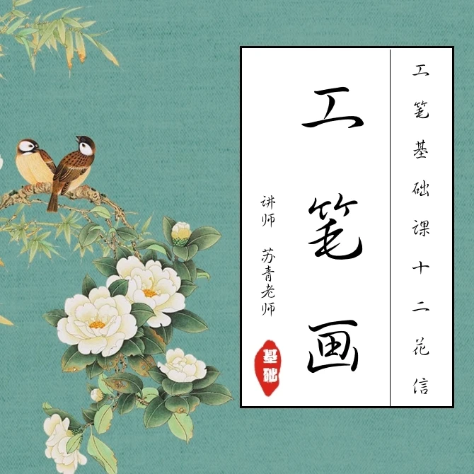 工笔基础课-十二花信