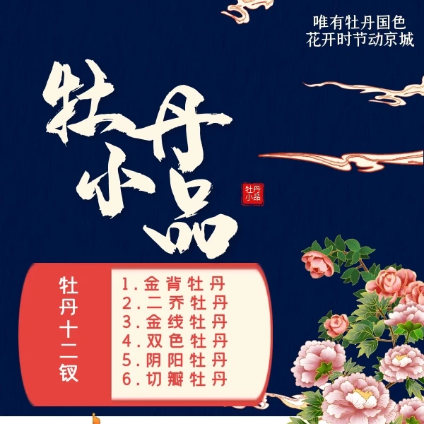 牡丹小品-十二钗【千姿百态画牡丹】