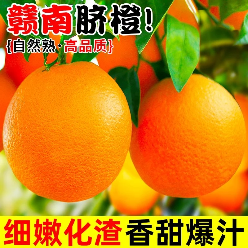 江西赣南脐橙橙子新鲜水果当季整箱5斤正宗精品大果赣州冰糖甜橙