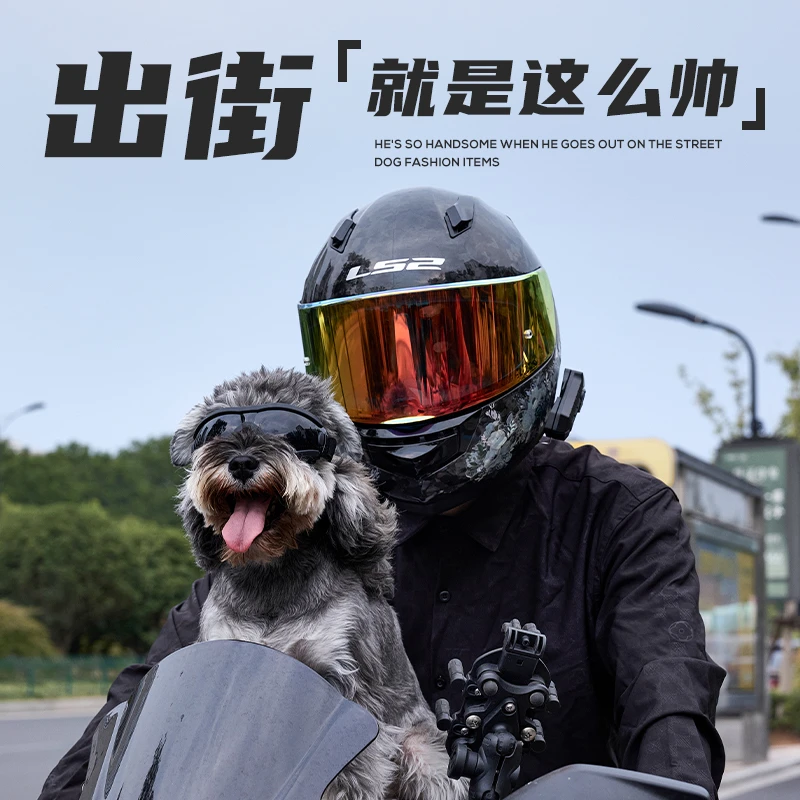 狗狗专用护目镜宠物配饰中小型犬骑行墨镜防风防晒紫外线宠物眼镜