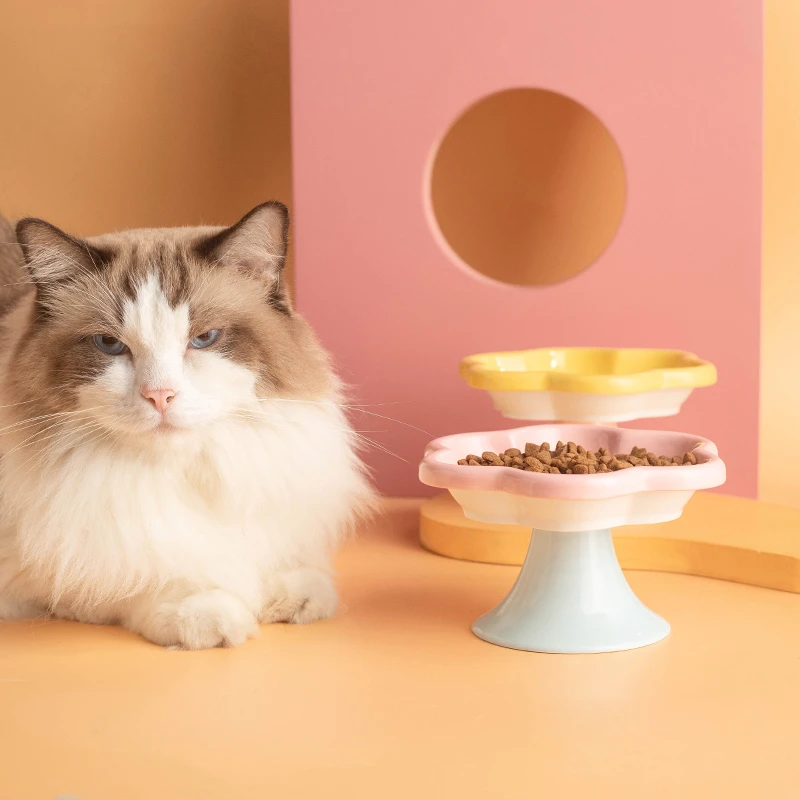 花朵高脚陶瓷猫咪碗食盆防翻大口径盘面釉质耐脏易冲洗宠物用品