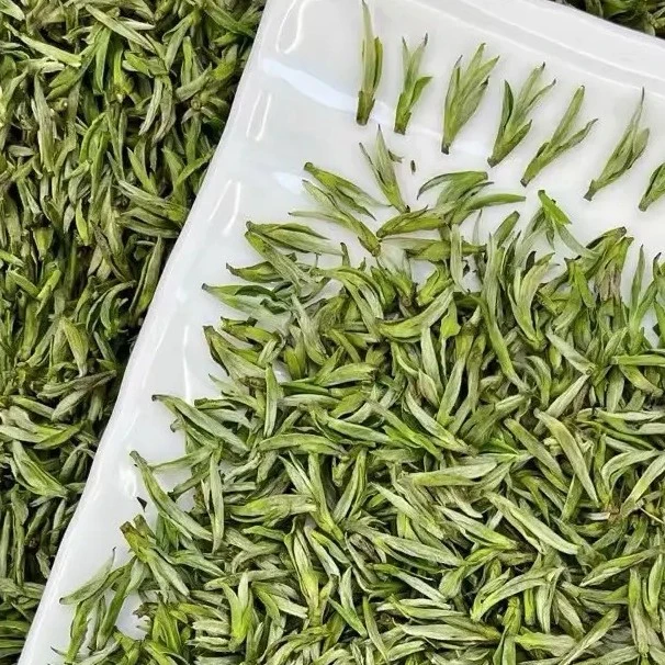 毛峰毛尖兰花香型头采春茶小白芽