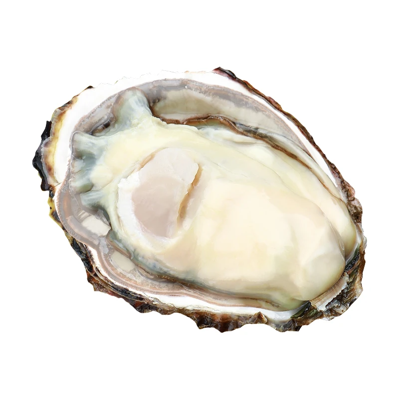 葱花姐 5斤/10斤 乳山生蚝鲜活生蚝牡蛎活鲜海蛎子新鲜海鲜水产