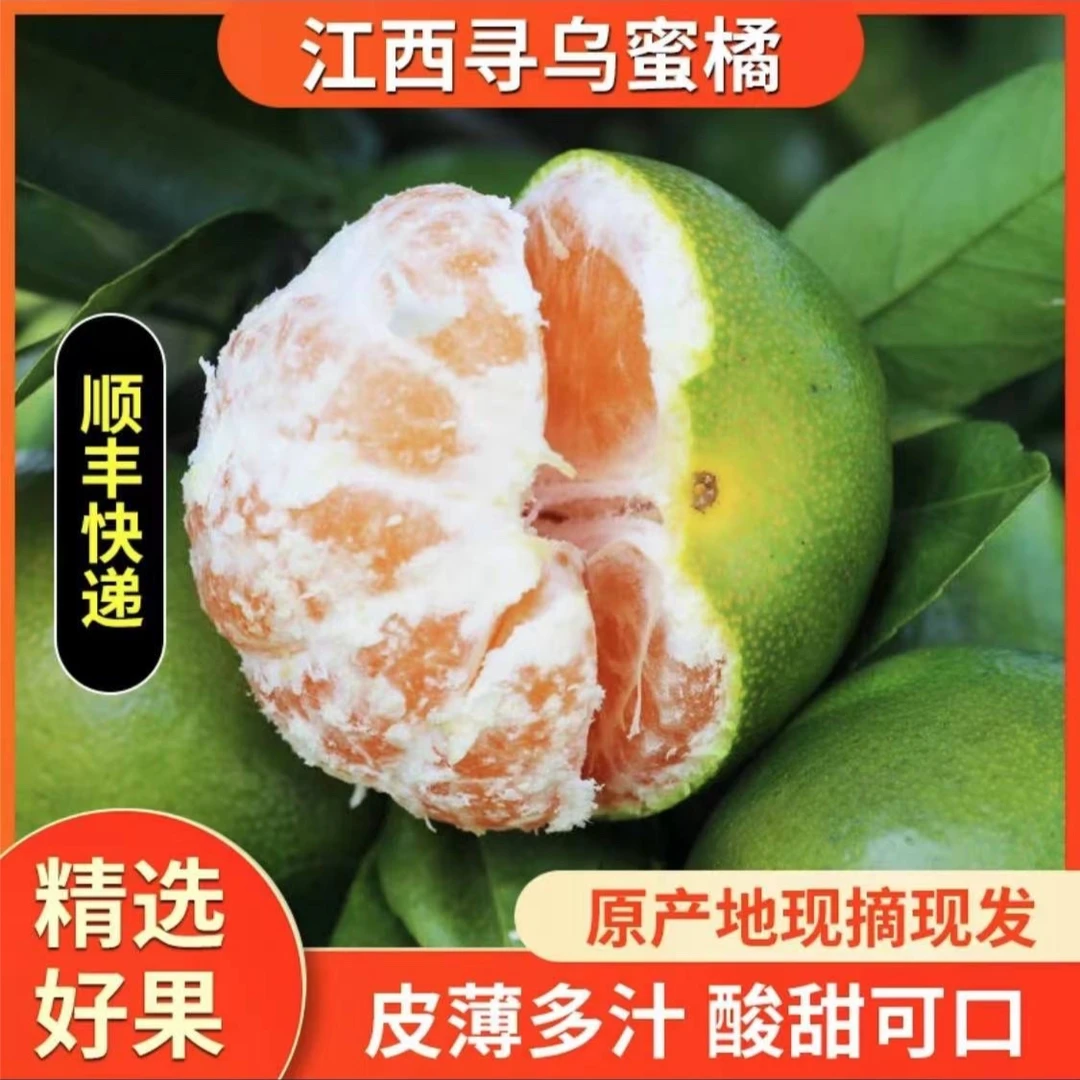 顺丰快递江西赣南寻乌蜜橘产地直发新鲜应季孕妇水果3/5斤装