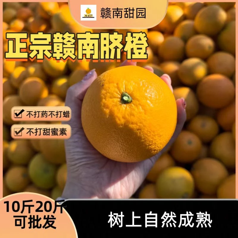 【原产地直发】赣南脐橙新鲜采摘发货自然成熟带箱发货
