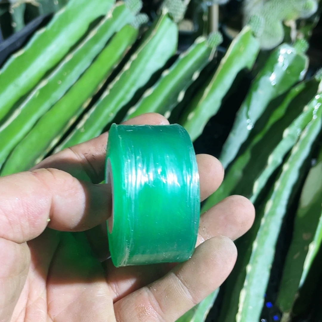 冬***花嫁接膜一个11111