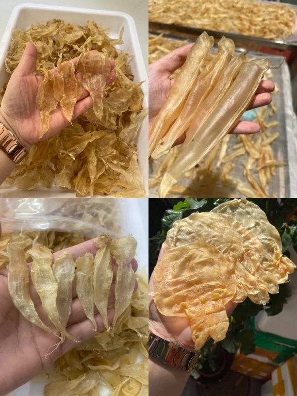兴惠 鱼胶/用于直播散称改价 深海鱼肚鱼鳔花胶鱼胶