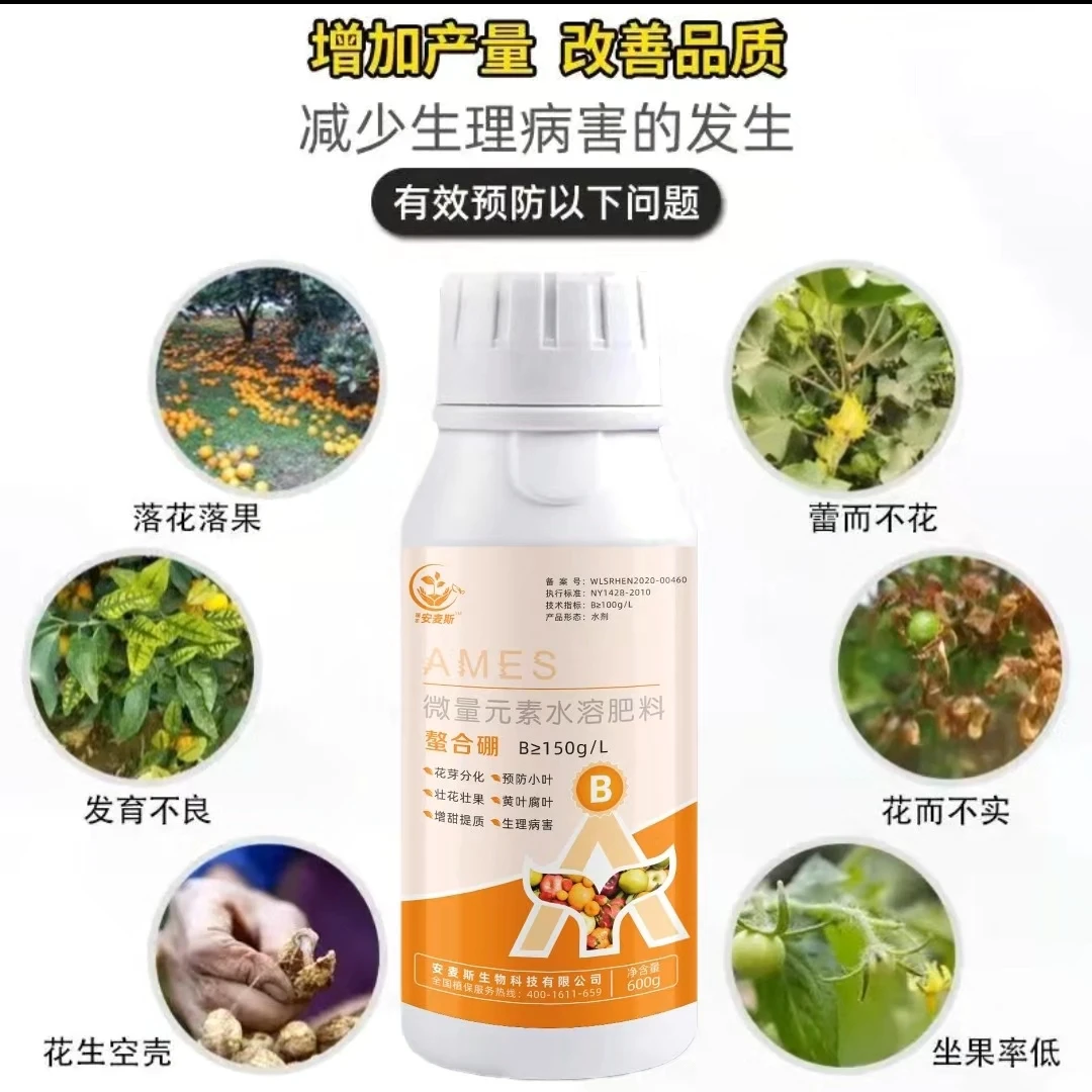 螯合硼保花保果花芽分化微量元素
