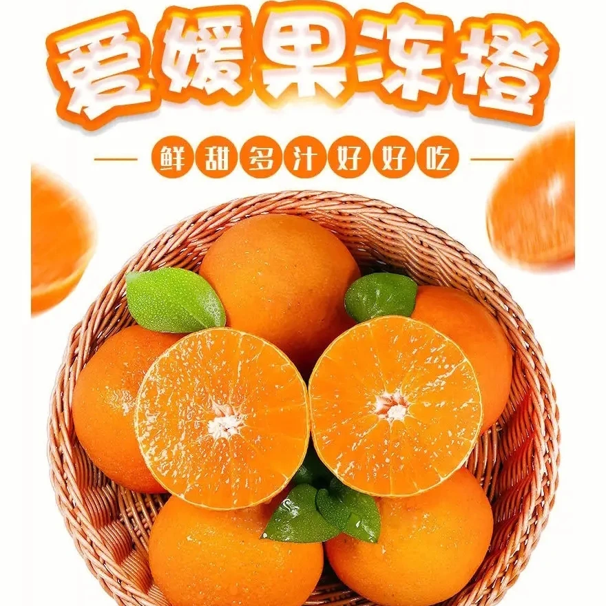 【同城送货】皮薄多汁 爱媛果冻橙一箱 6斤左右