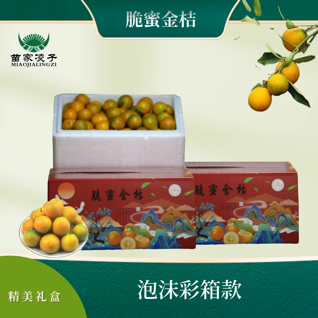 广西现摘现发脆蜜金桔【4斤装】