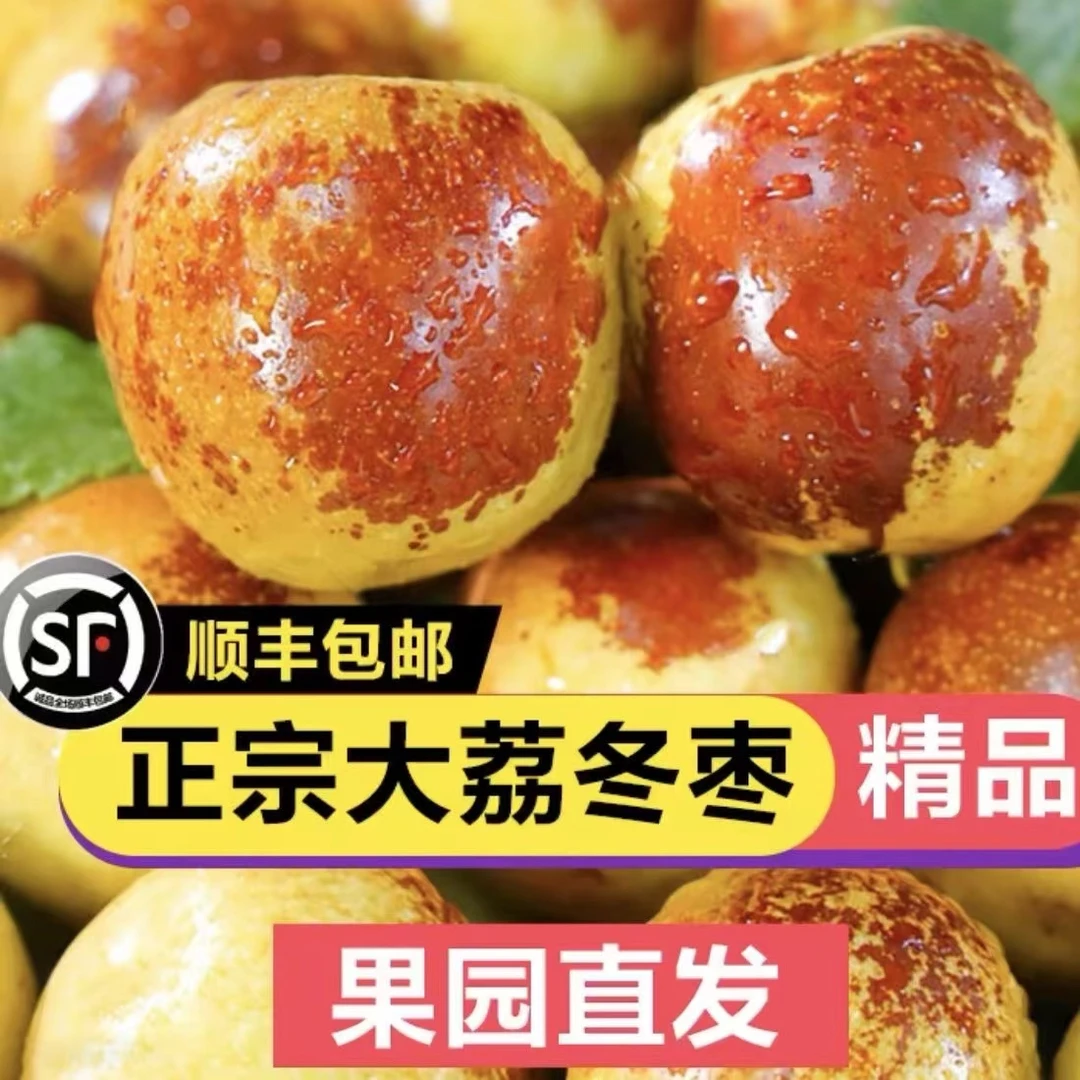 SF发货大荔冬枣陕西特产自家果园现摘现发当季鲜脆枣零食即食水果