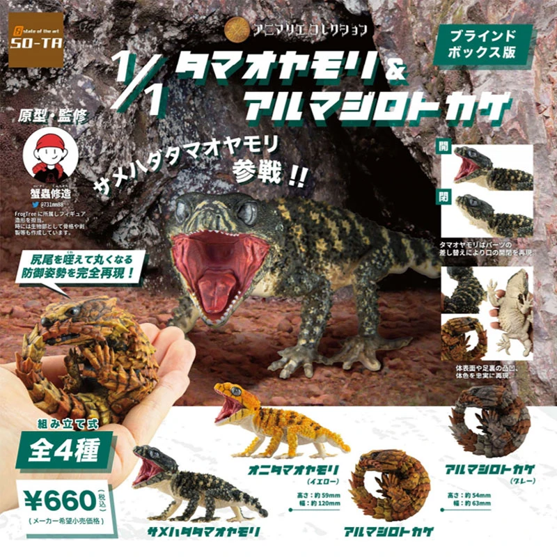 现货 日本SO-TA 鬼玉尾与犰狳蜥摆件1/1动物模型蜥蜴潮玩扭蛋