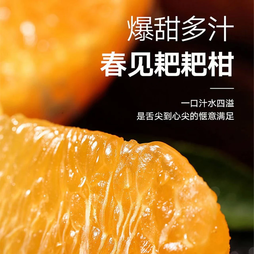 【寒冷地区陌上专属】正宗四川春见保鲜耙耙柑品质整箱新鲜水果多汁