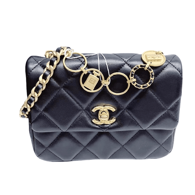 95新 Chanel/香奈儿 安洁利田哥链条包/BK0116603
