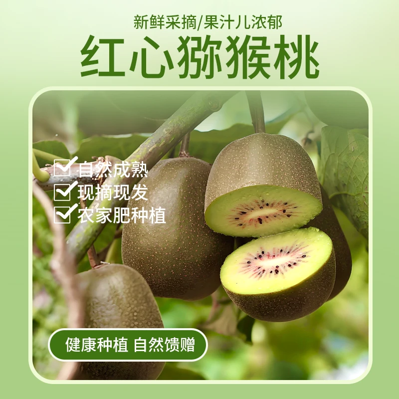 四川红心猕猴桃当季鲜果果肉甜美细腻汁多爽口现摘现发新鲜到家