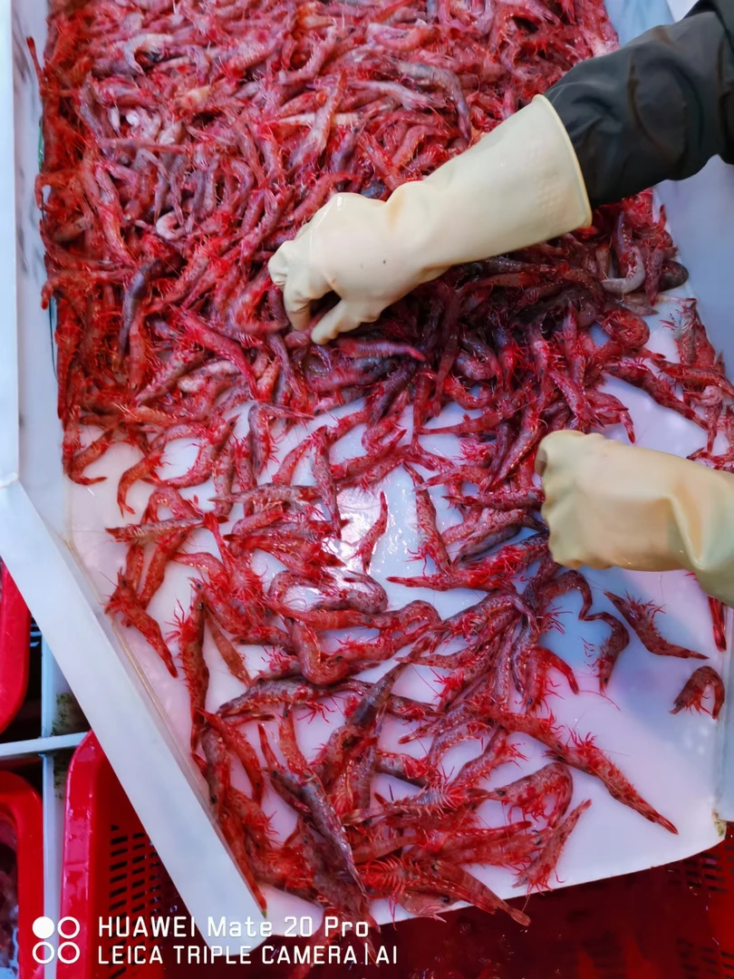 3号链接，野生海货，虾类，皮皮虾，