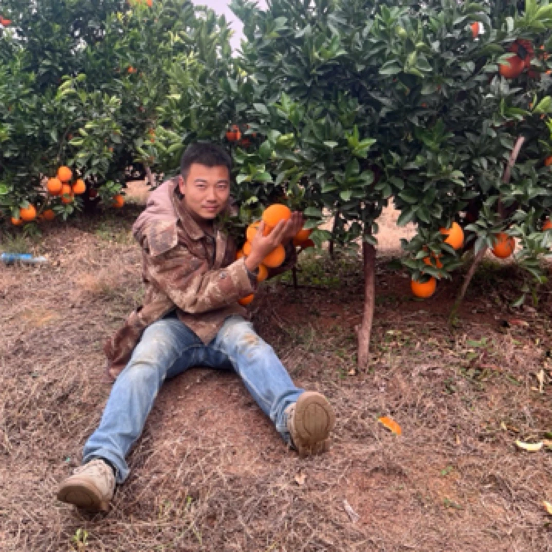 宜昌枝江纽荷尔脐橙（9斤装）