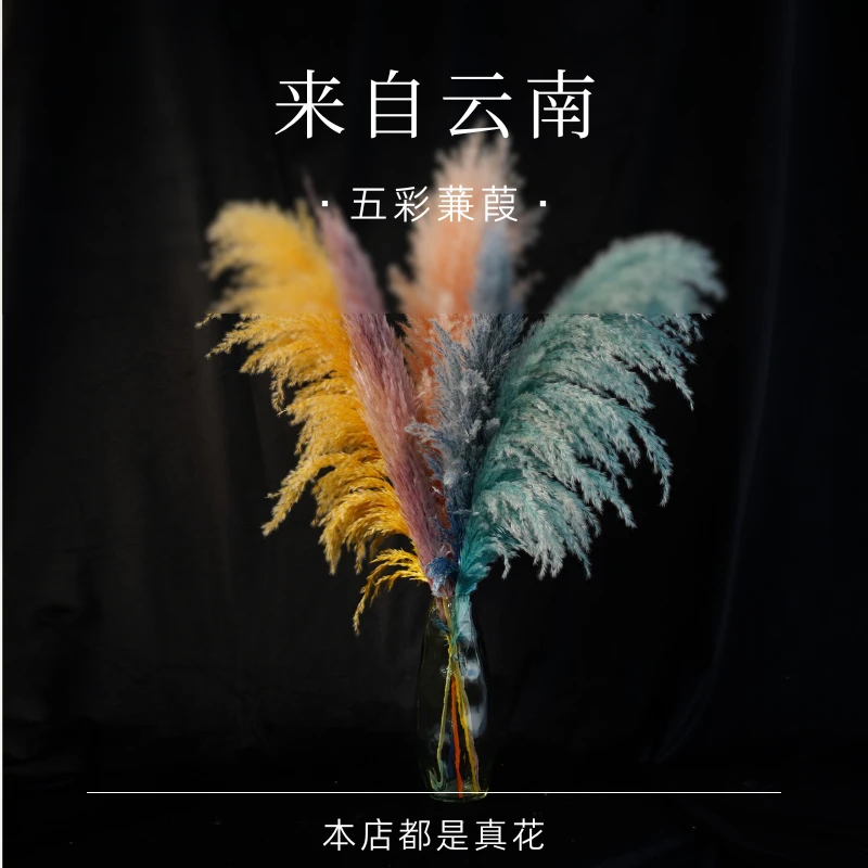 存下花期【五彩 蒹葭】客厅电视柜玄关百搭轻奢摆件花加花瓶一整套