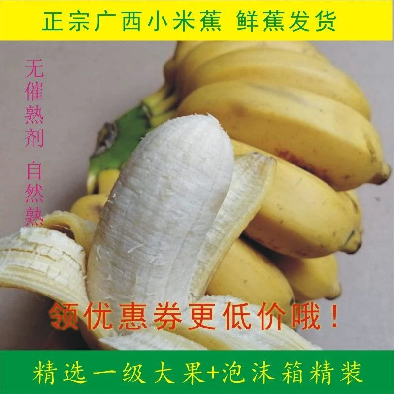 广西新鲜小米蕉,新鲜香蕉,现采现发3斤天然天然