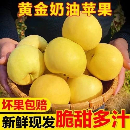 山东奶油富士水果4.5/2斤脆甜多汁现摘抖音现发苹果新鲜奶油苹果