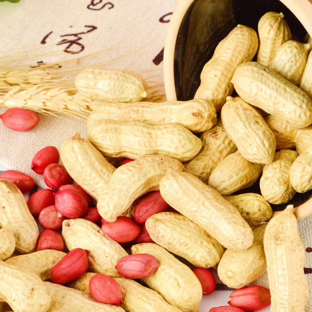 东北红皮花生新正宗手工挑选油炸酥脆美味健康香脆好吃水煮批发