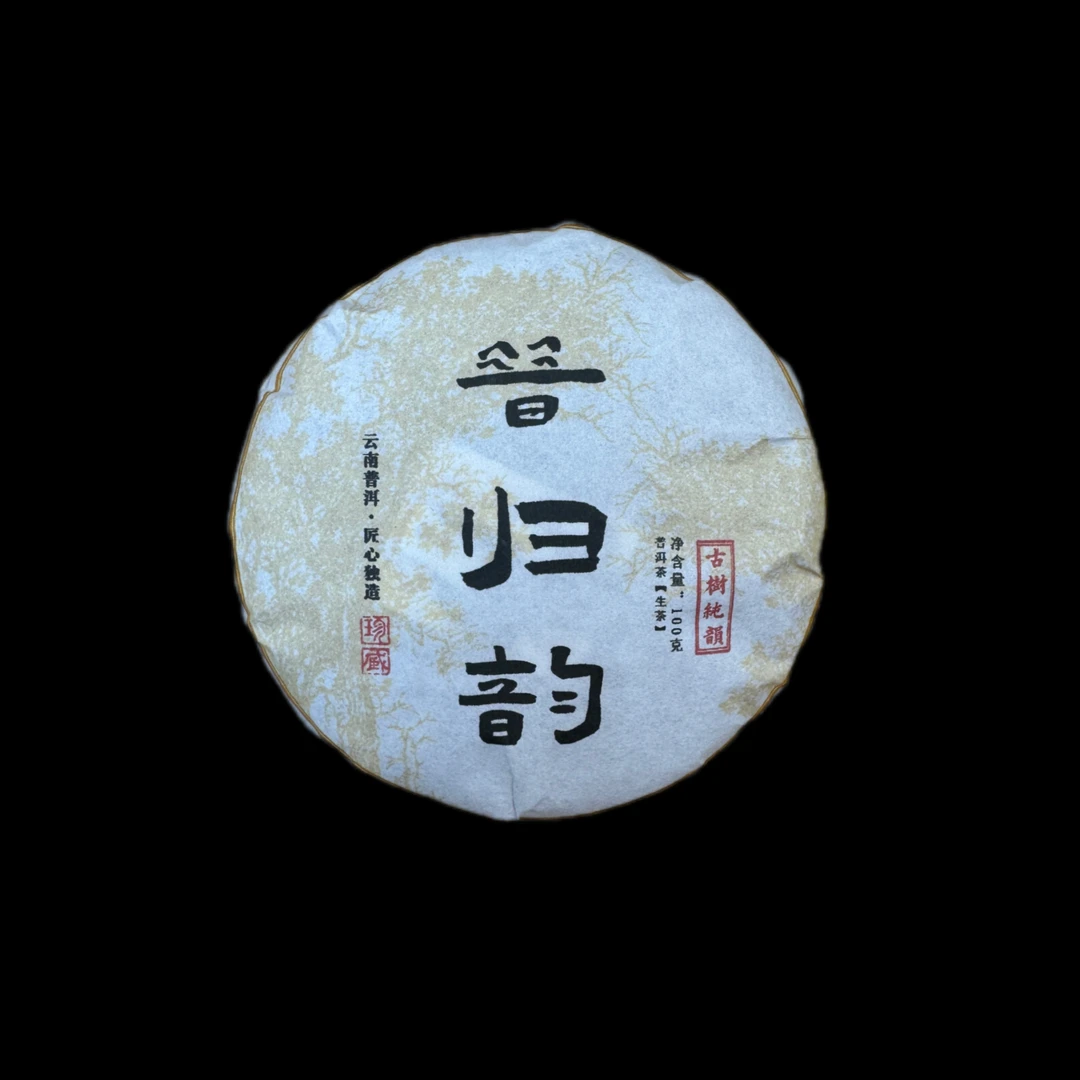 【昔归韵-2024年一类大古树挑采-春茶普洱茶生茶】