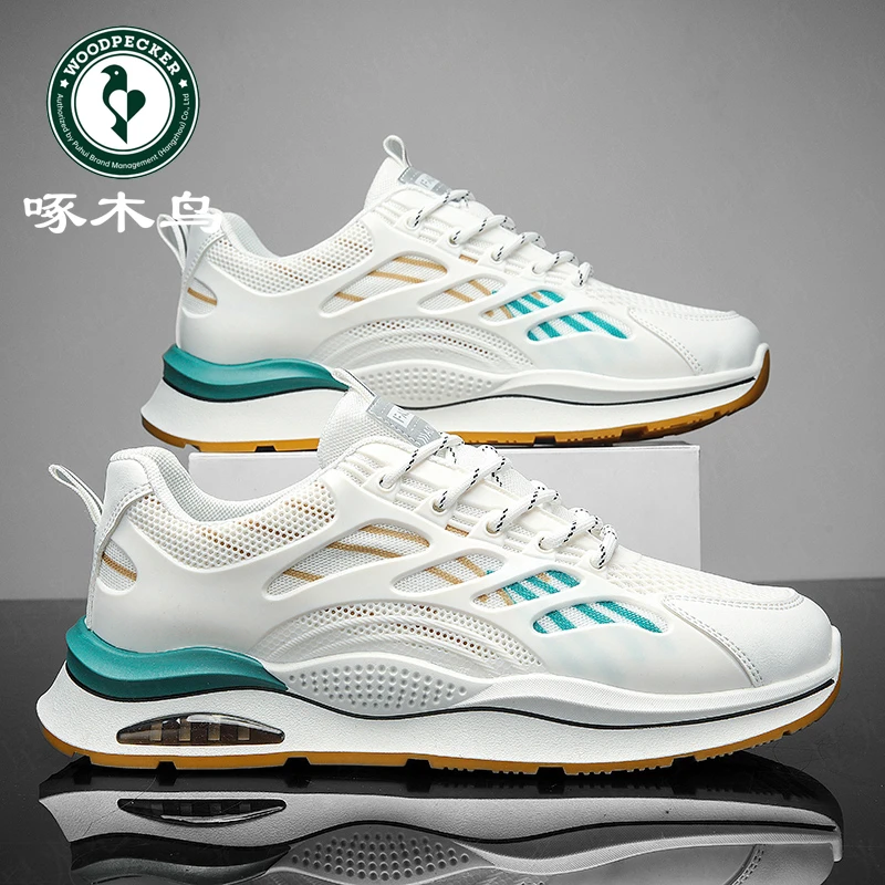 啄木鸟男士透气网面鞋秋季新款国潮百搭潮流小白鞋软底薄款休闲鞋