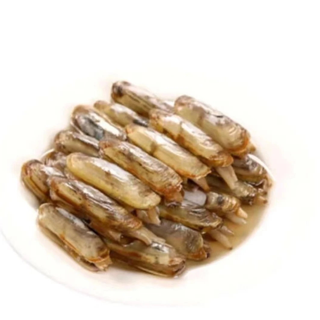 鲜活蛏子500g