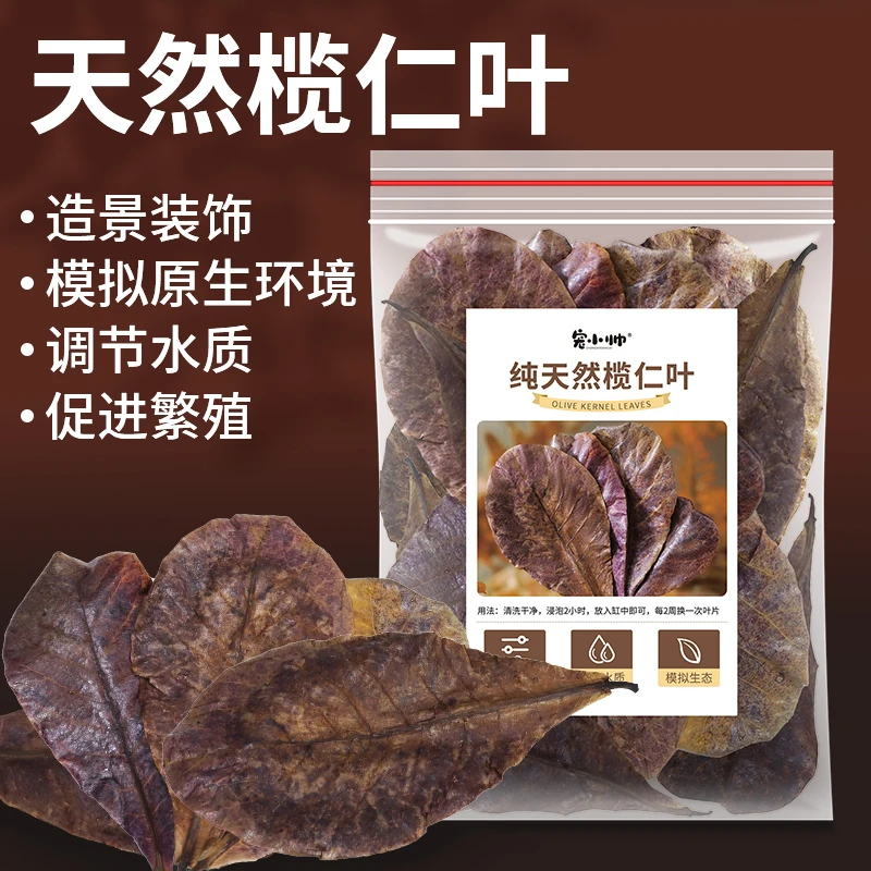 泰国斗鱼榄仁叶鱼缸ph调节剂酸碱度调节龙眼叶改善水质懒人叶造景