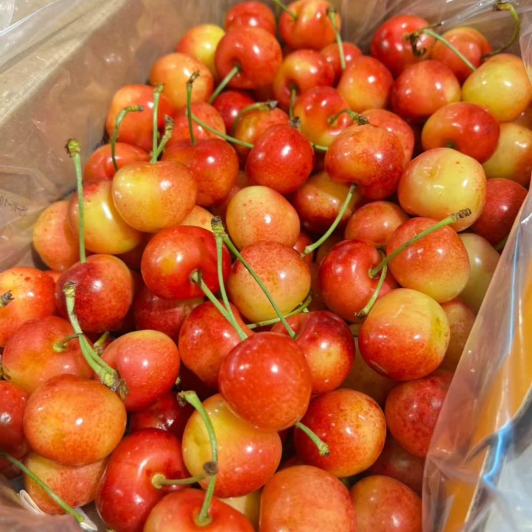 智利空运RAINIER雷尼尔 黄金车厘子J-JJJ/礼盒1-5斤装 顺丰空运