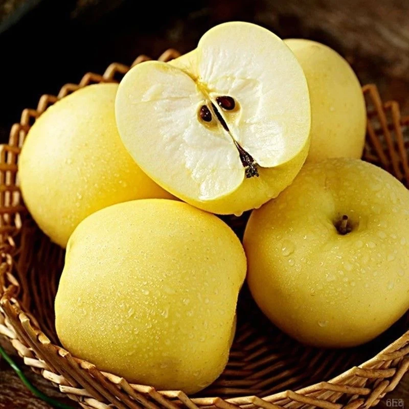 香甜元帅老人面黄粉黄刮帅新鲜水果孩子辽宁黄金辅食苹果泥香脆甜