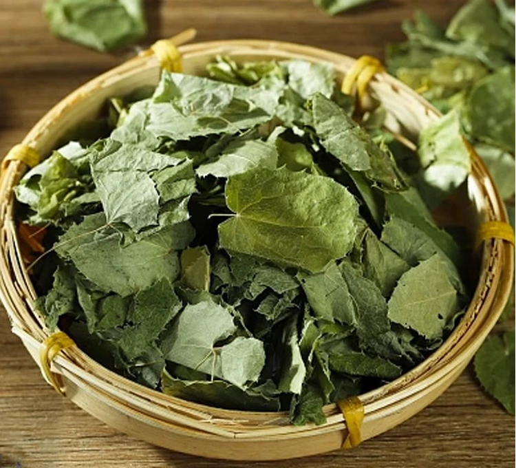 三枝九叶茶两袋长白山特产100g
