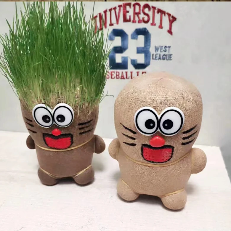 头上长草娃娃盆栽幼儿观察生长水培种植植物学生创意礼物长草娃娃