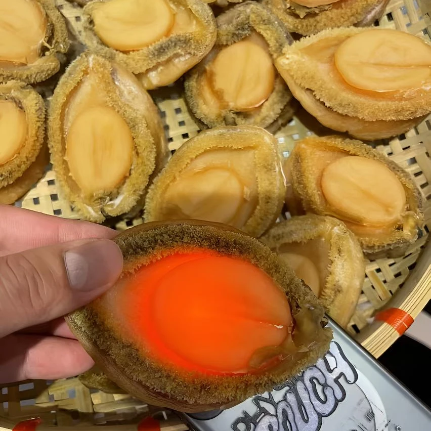 《美味推荐》南网吉鲍淡干精心挑选福利特价款