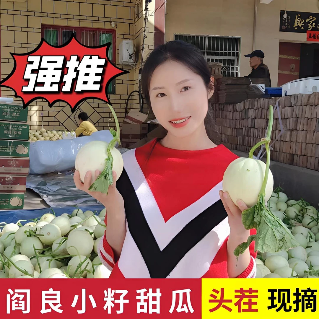 陕西阎良小籽甜瓜新鲜当季水果现摘现发净重5斤/9斤包邮