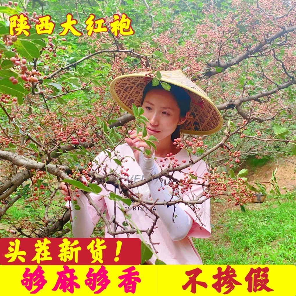 陕西大红袍花椒调料大料干红花椒食用麻椒粒特产250g/500g包邮