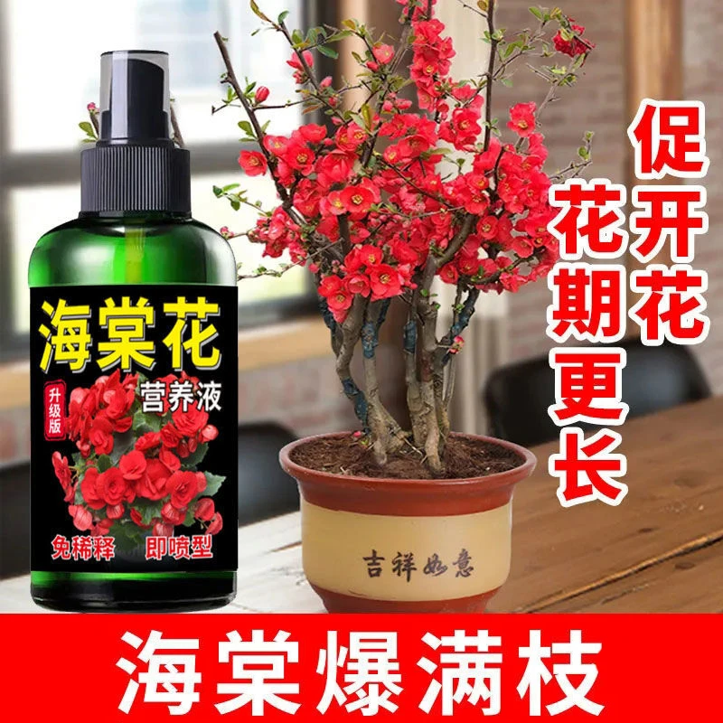 【一喷开花】海棠花营养液盆栽四季海棠专用肥催开花免稀释液体肥