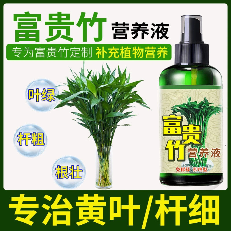 富贵竹【一喷绿】营养液防黄叶掉叶防烂根枝茎瘦小免稀释磷钾肥