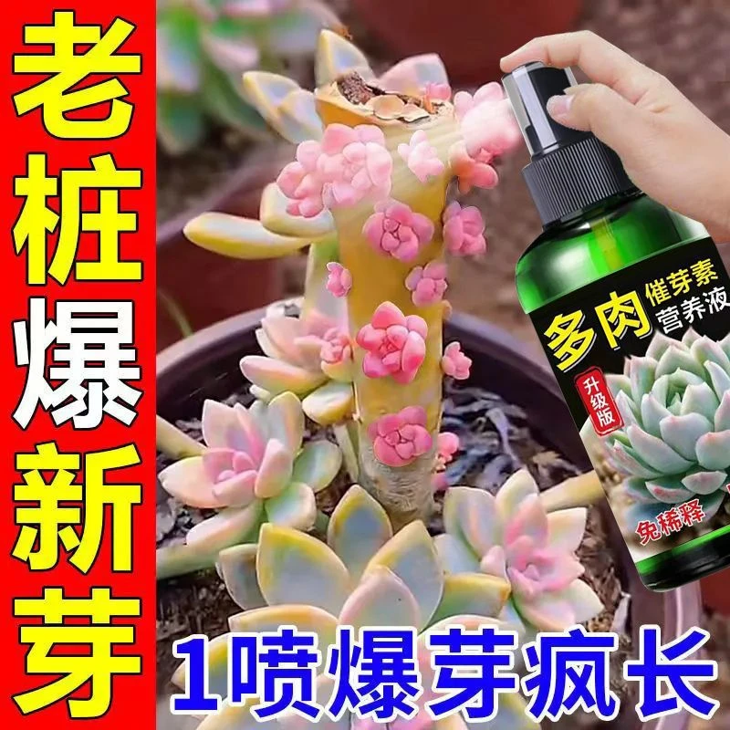 多肉肥料一夜爆芽素多肉催芽素促进生长矮壮素叶面增色增肥生根液
