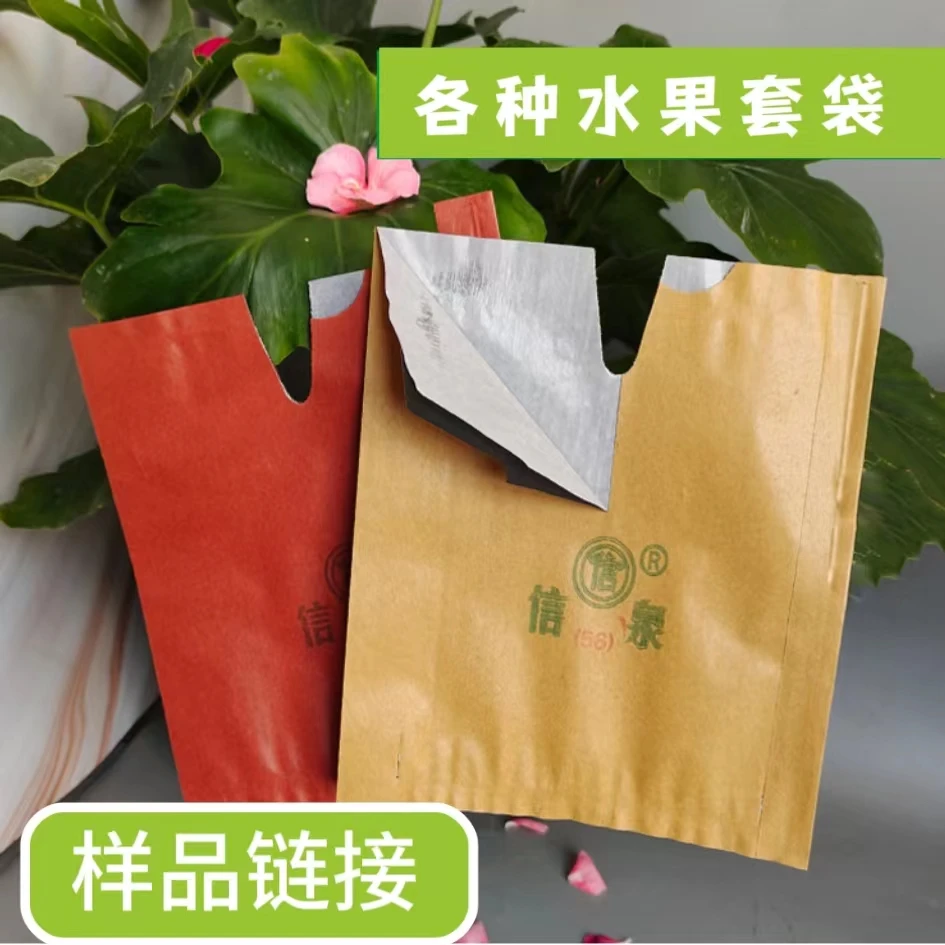 桃子秋月梨苹果奈李柑橘葡萄枇杷芒果火龙果套袋样品【数量不指定】