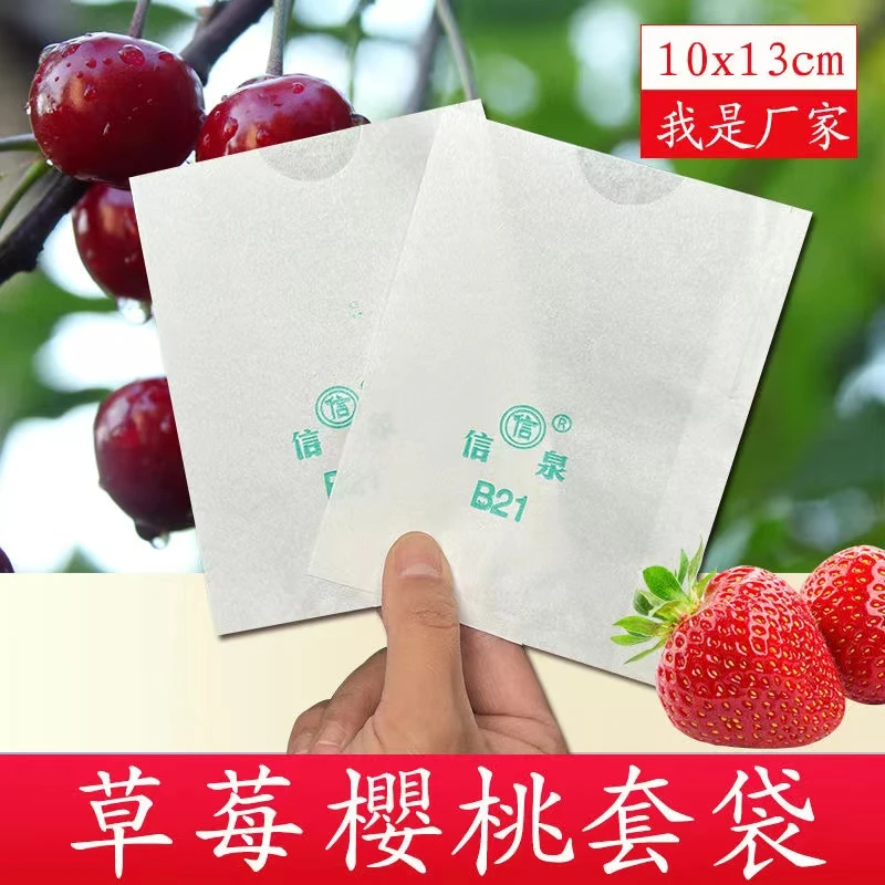 樱桃系列圣女果草莓套袋结实耐用防水防虫保护纸袋车厘子套袋