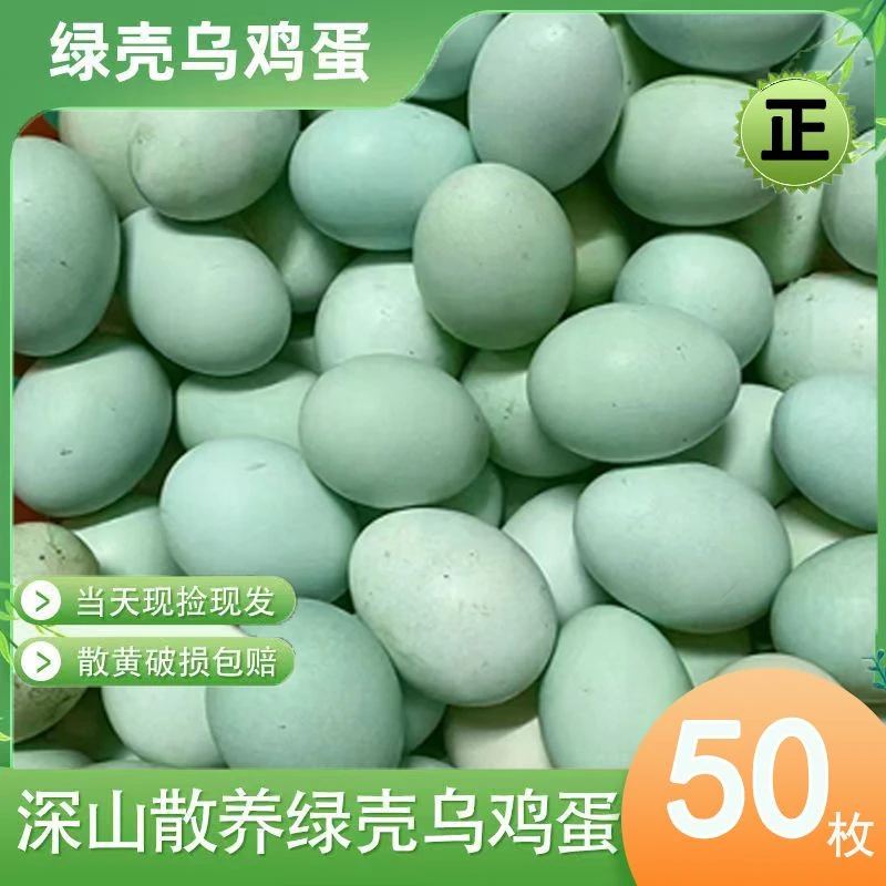 乌鸡蛋正宗土鸡蛋绿壳蛋新鲜散养深山当日现捡破损包赔健康营养