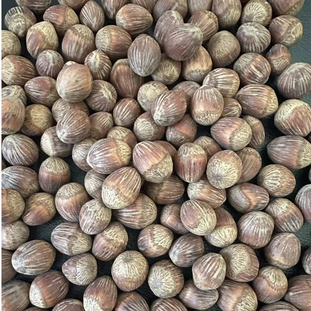 天然小兴安岭榛子松子营养健康坚果