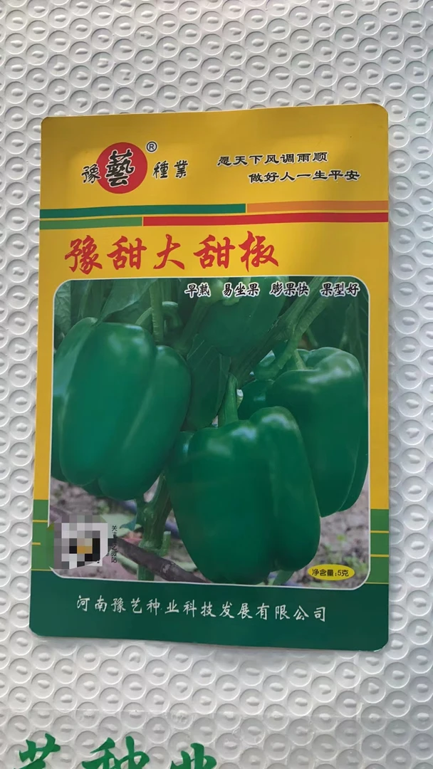 豫艺豫艺种业 豫甜大甜椒 甜椒种子 大果长势旺产量高 5g/袋