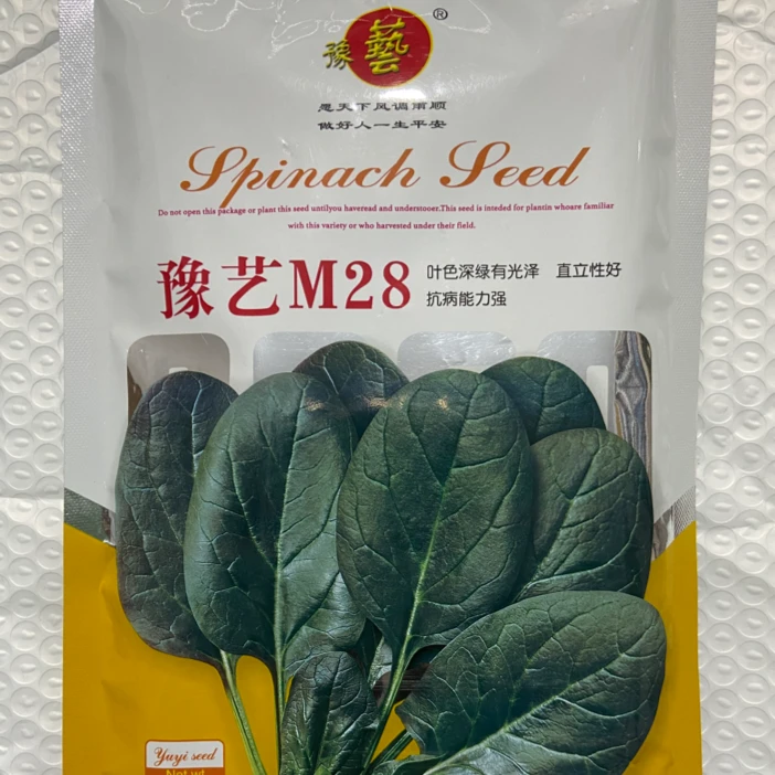 豫艺M28直立菠菜种子 抗病叶色深绿半圆叶菠菜种子  250克/袋