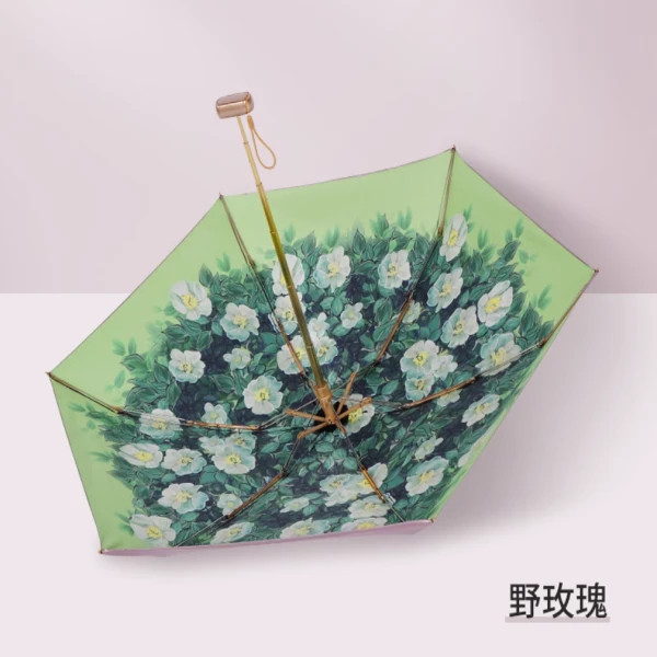 GG费乐德遮阳伞扁小号6骨（19）