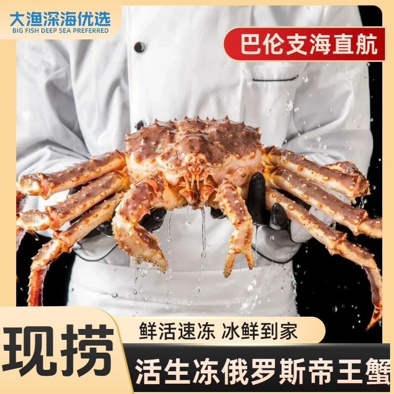 俄罗斯活冻帝王蟹 顺丰冷链 蟹肉饱满 肉质细腻 送人送礼